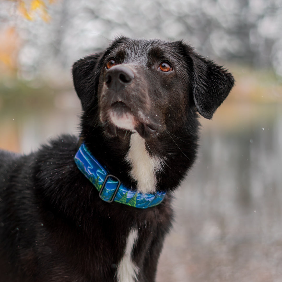 Luminous Peaks Collar