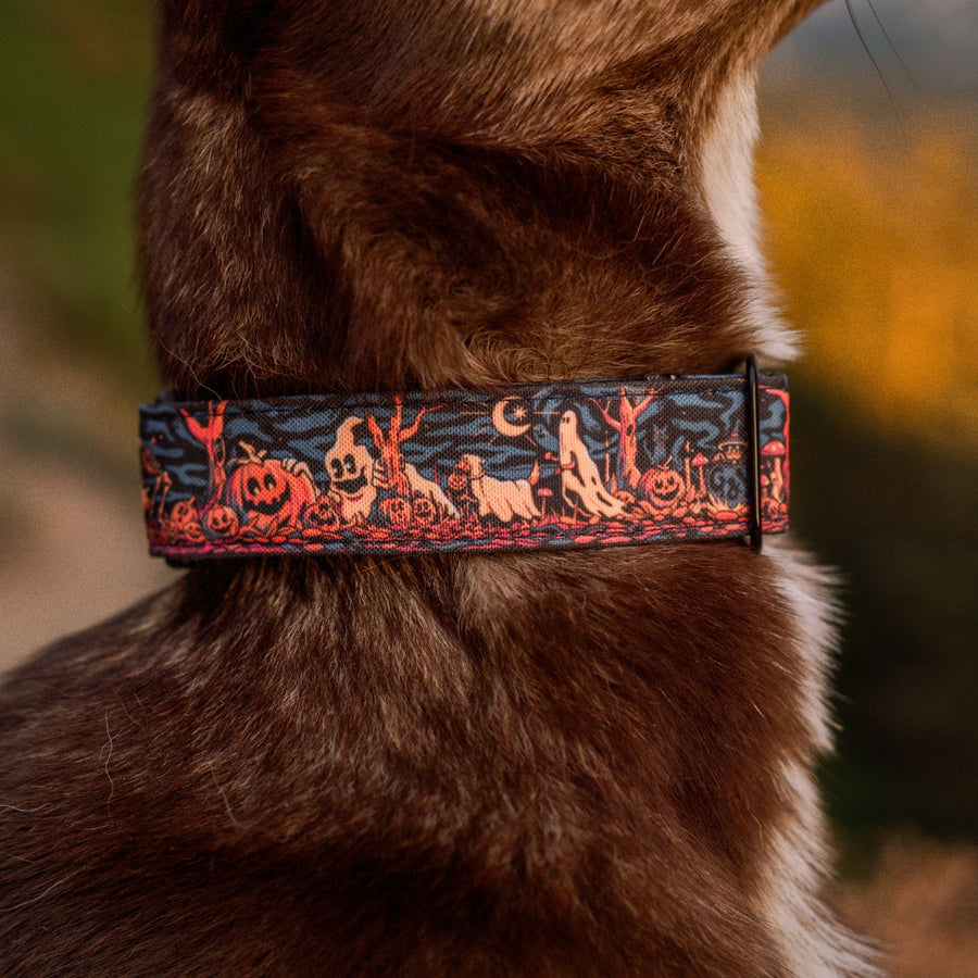 Haunted Hounds Dog Collar | Limited Artist Series