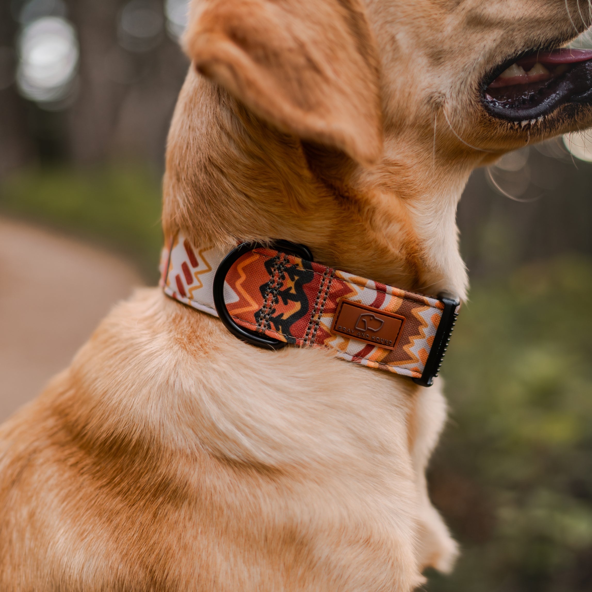 Elements in Brown Collar