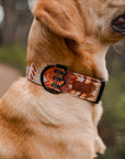 Elements in Brown Dog Collar