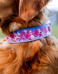 Puppy Love Dog Collar [Limited Edition Artist Series]