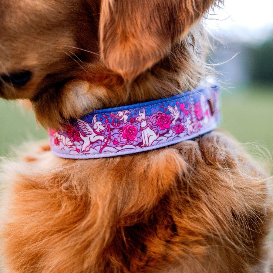 Puppy Love Dog Collar [Limited Edition Artist Series]