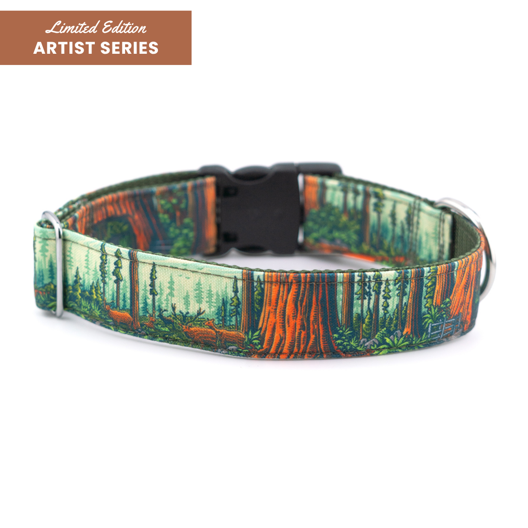 Redwoods Parkside Collar
