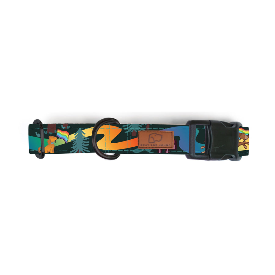 Rainbow Trail Dog Collar [limited quantities]