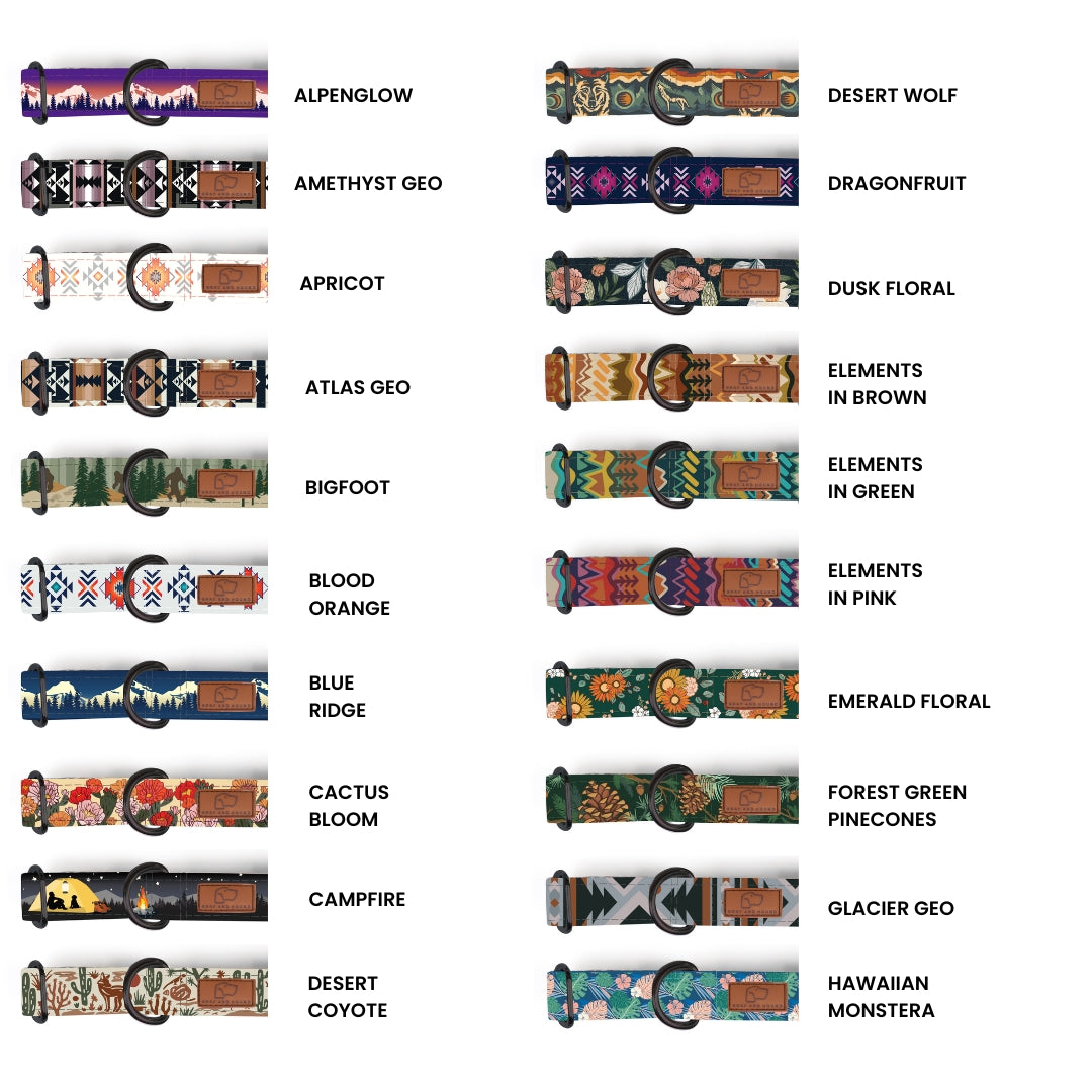 Hybrid Martingale Dog Collar (all designs)