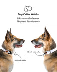 Huckleberry Geo Dog Collar