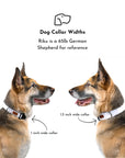 Alpenglow Dog Collar [ready to ship]
