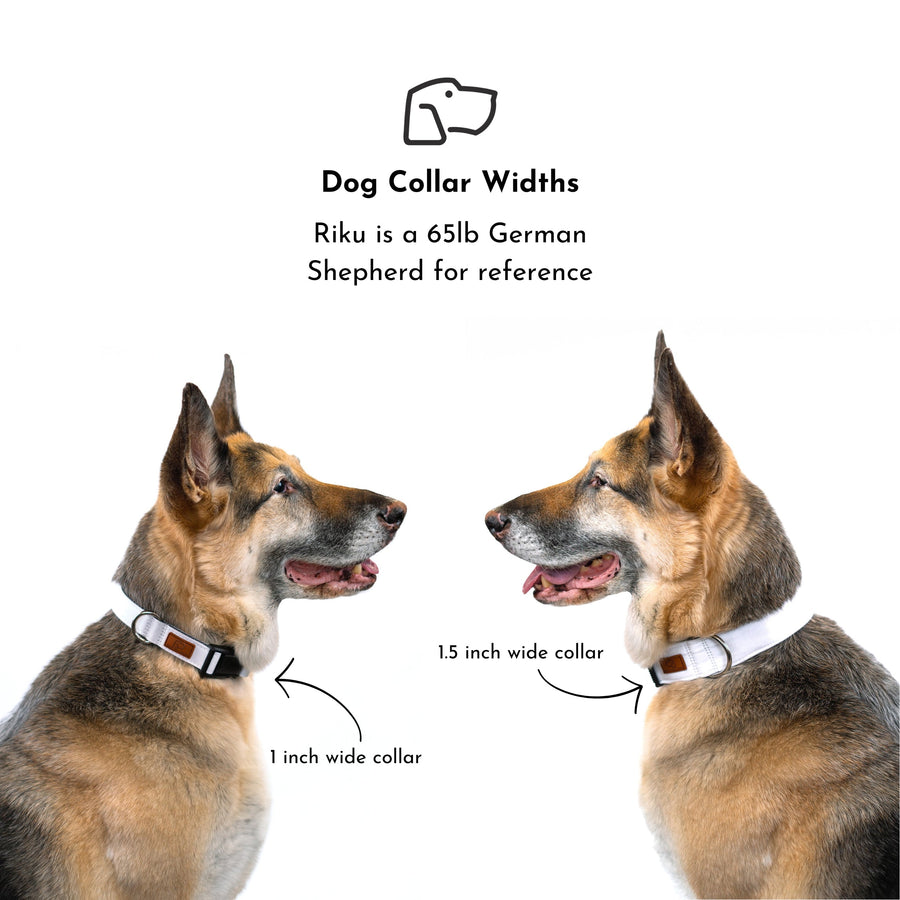 Dusk Floral Dog Collar [ready to ship]