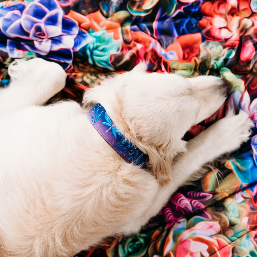 Mystic Dragonfly Dog Collar