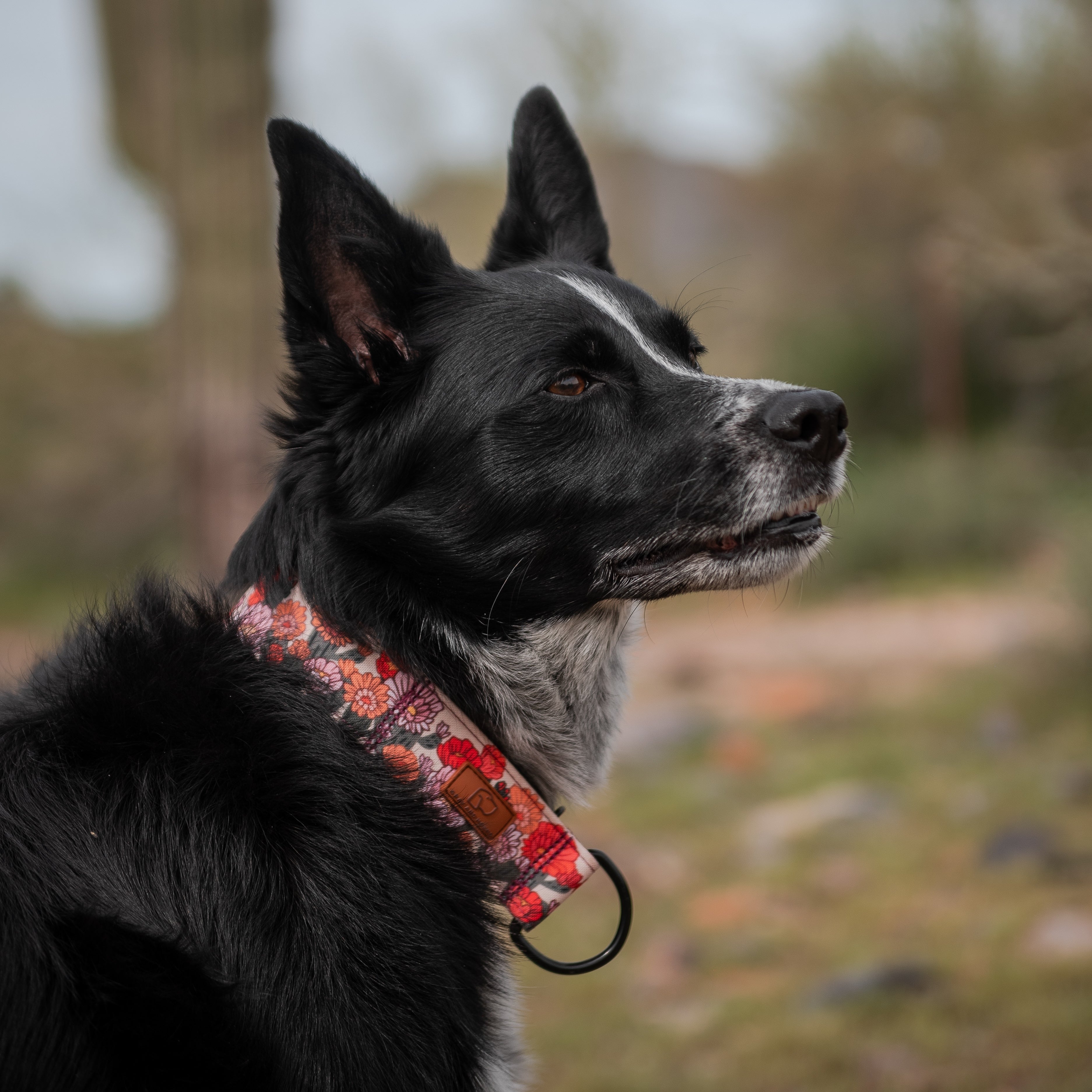 Cactus Bloom Collar