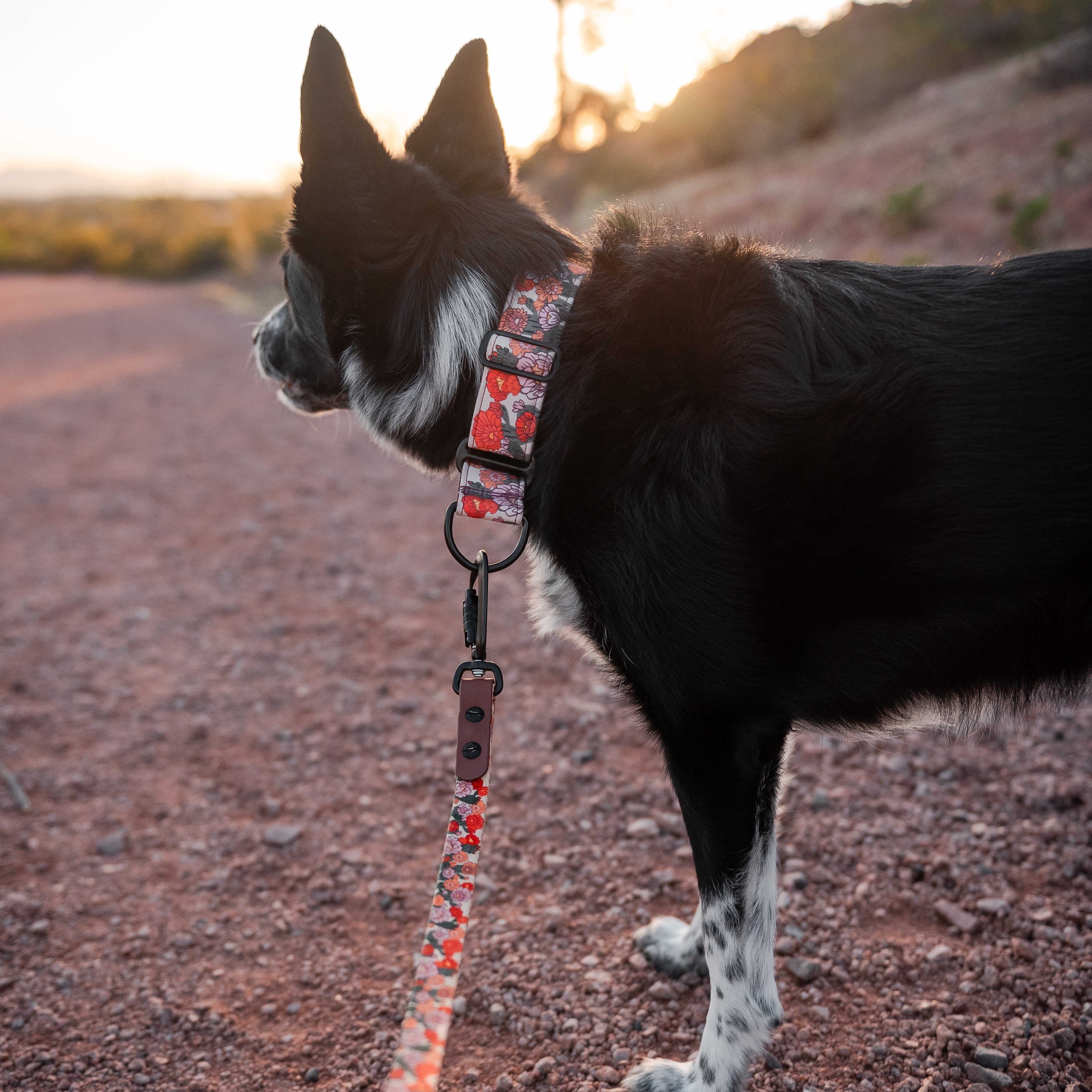 Cactus Bloom Collar