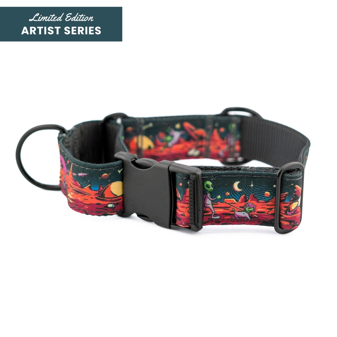 Rover Buckle-On Martingale Collar