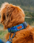 Luminous Peaks Hybrid Martingale Dog Collar | Limited Artist Series