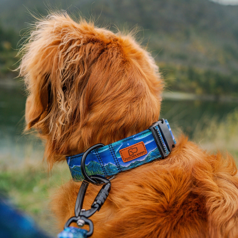Luminous Peaks Hybrid Martingale Dog Collar | Limited Artist Series