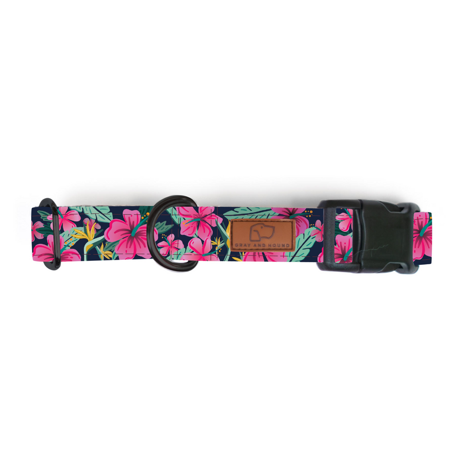 Hibiscus Floral Dog Collar