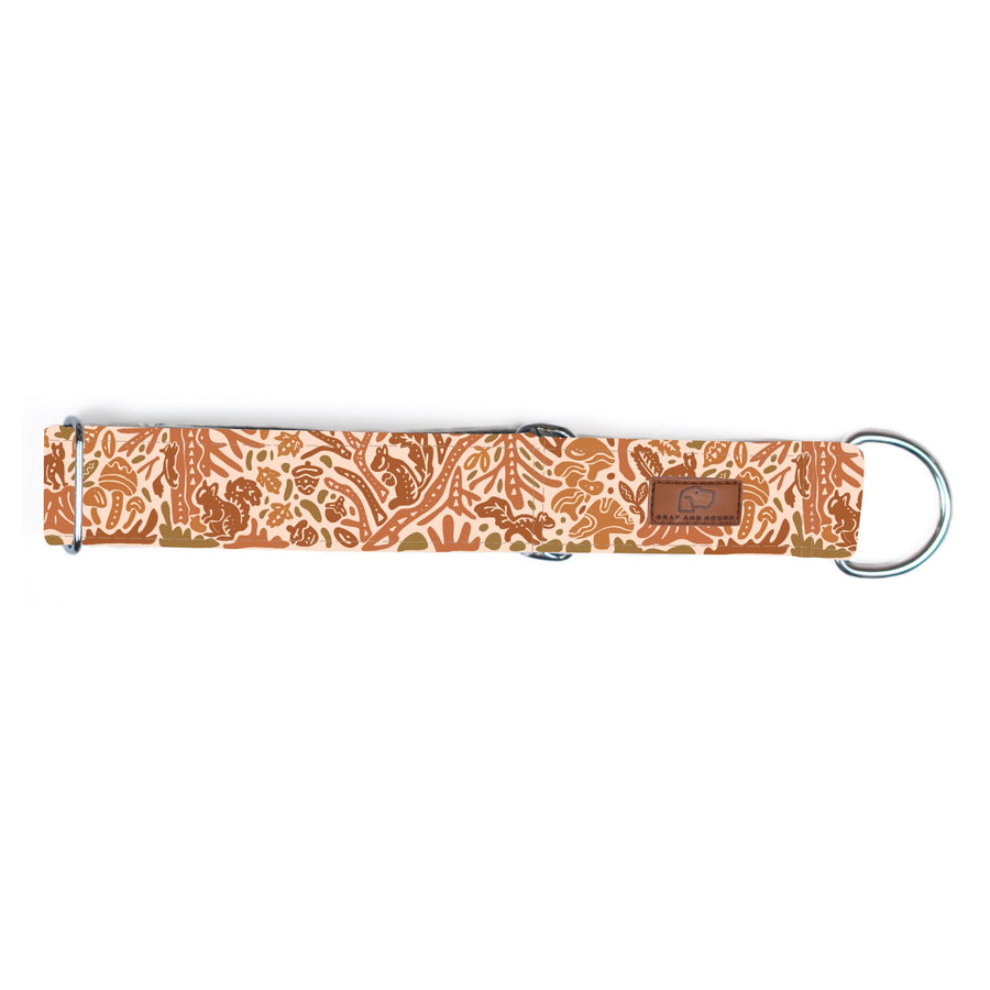 Harvest Squirrel Dog Collar