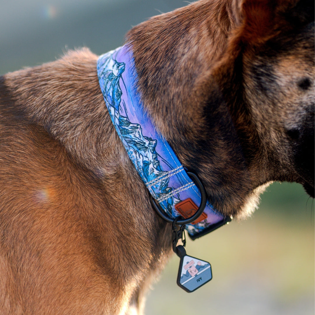 Glacier Cascades Collar