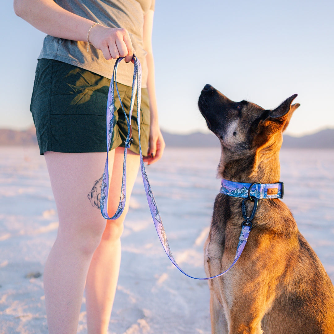 Glacier Cascades Collar