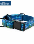 Luminous Peaks Hybrid Martingale Collar