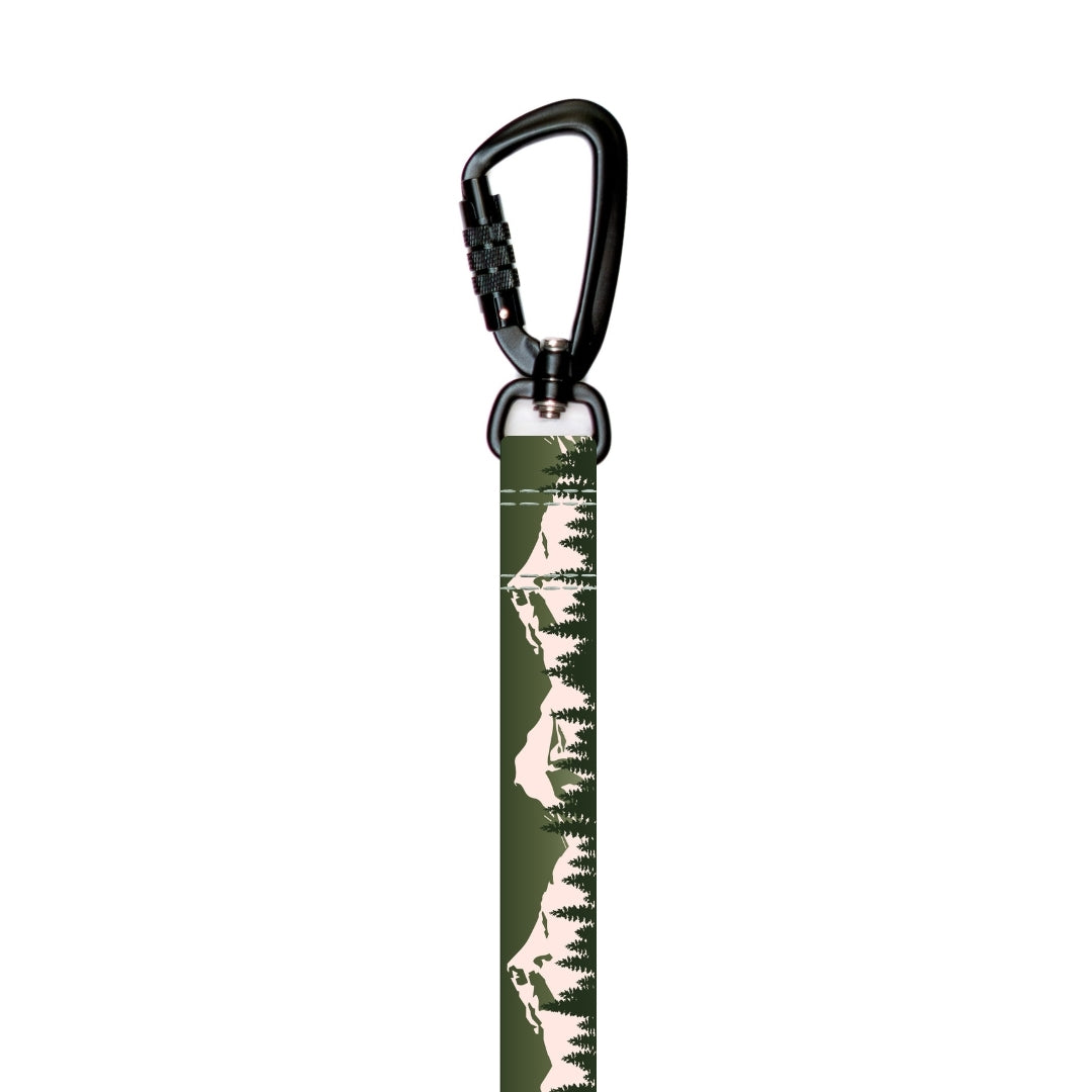Stroll Dog Leash [pick your design]