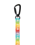 Stroll Dog Leash [pick your design]