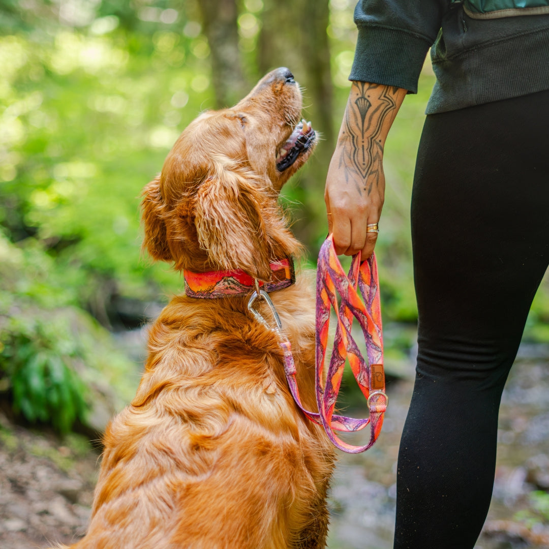 Lava Cascades Collar