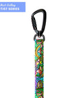 Rainbow Ridge Leash