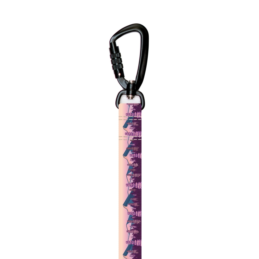 Lupine Fields Leash