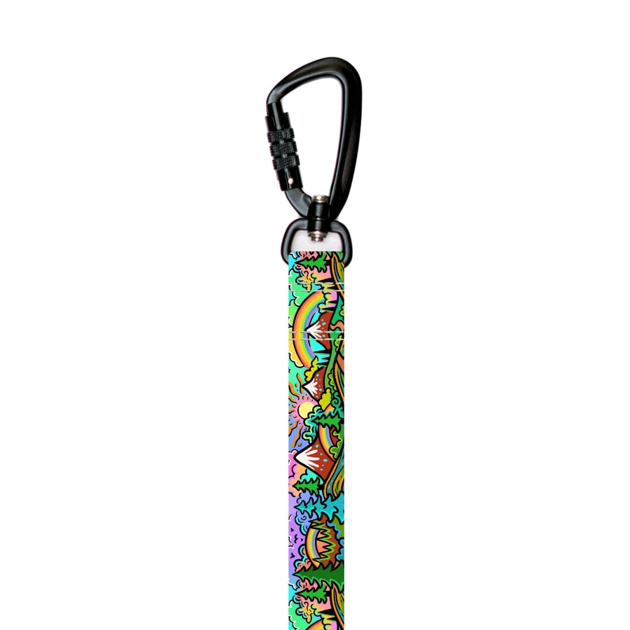 Stroll Dog Leash [pick your design]