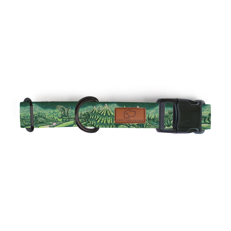 Enchantments in Green Dog Collar [Limited Edition Artist Series]