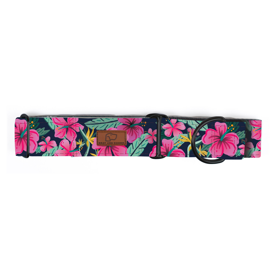 Hibiscus Floral Dog Collar