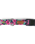 Hibiscus Floral Dog Collar