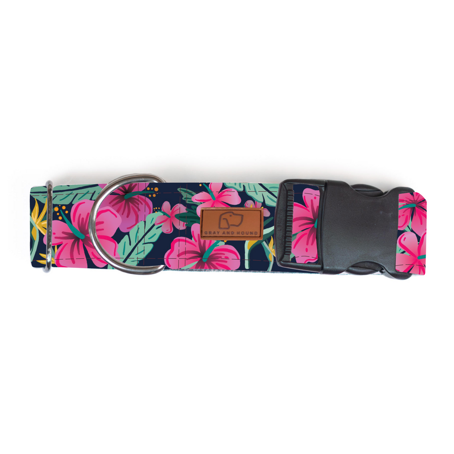 Hibiscus Floral Dog Collar