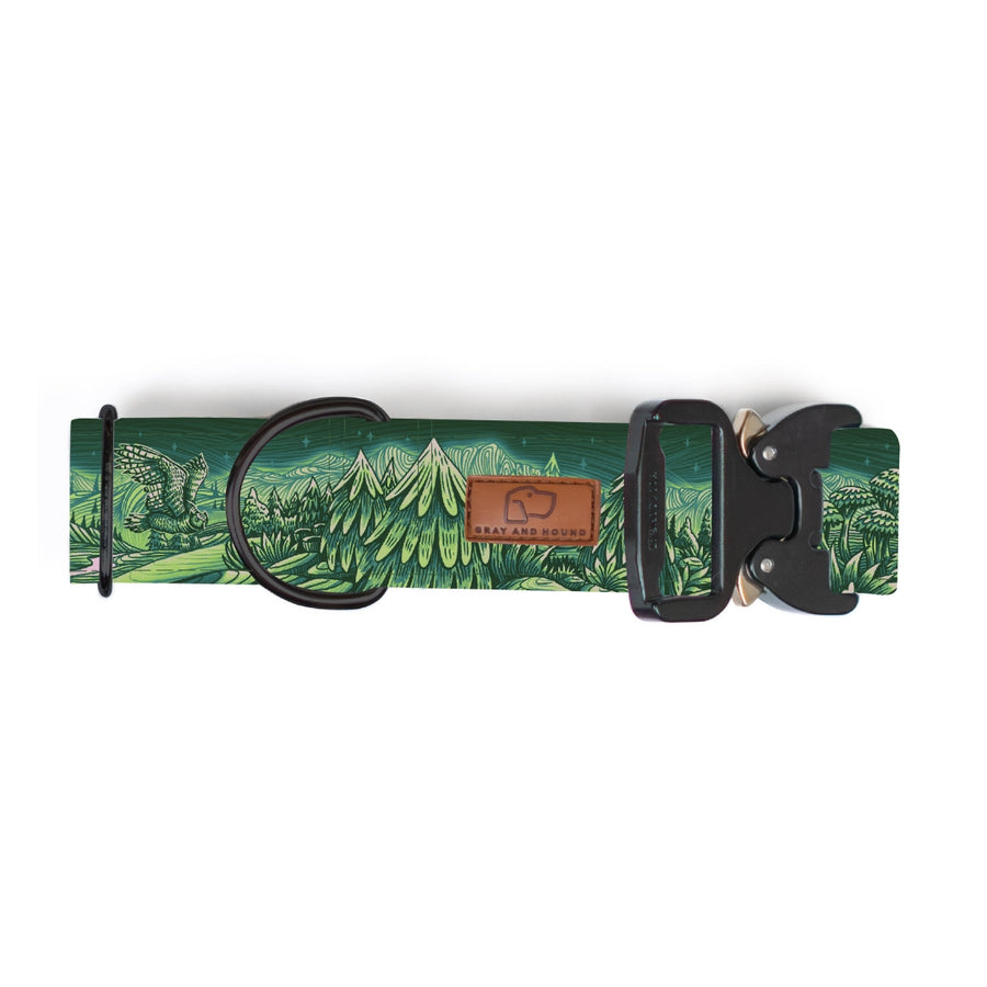 Enchantments in Green Dog Collar [Limited Edition Artist Series]