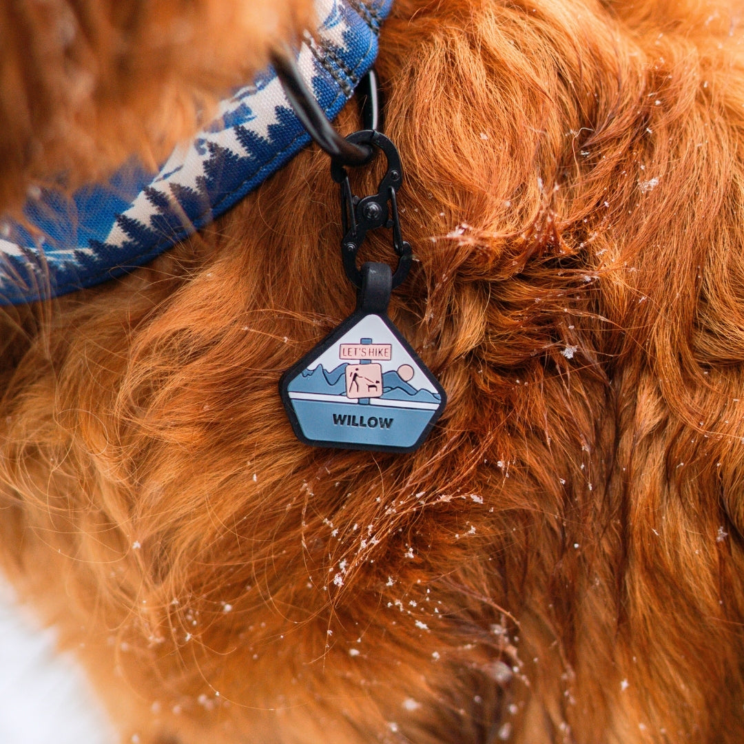 Black Locking S-Biner 3 Pack