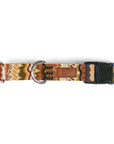 Elements in Brown Dog Collar