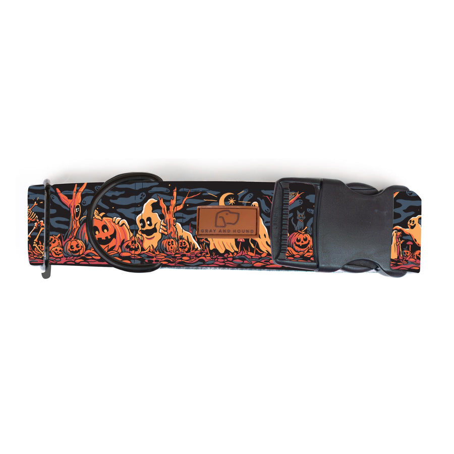 Haunted Hounds Dog Collar Special Edition [ready to ship]