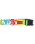 Rainbow Topo Wild Dog Collar [ready to ship]