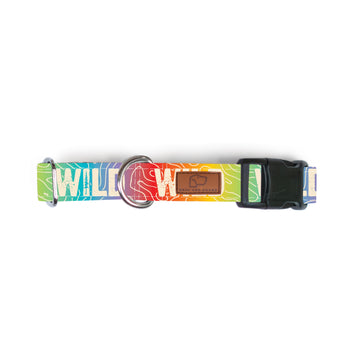 Rainbow Topo Wild Dog Collar [ready to ship]