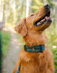 Sasquatch Shadows Hybrid Martingale Dog Collar [artist limited edition]