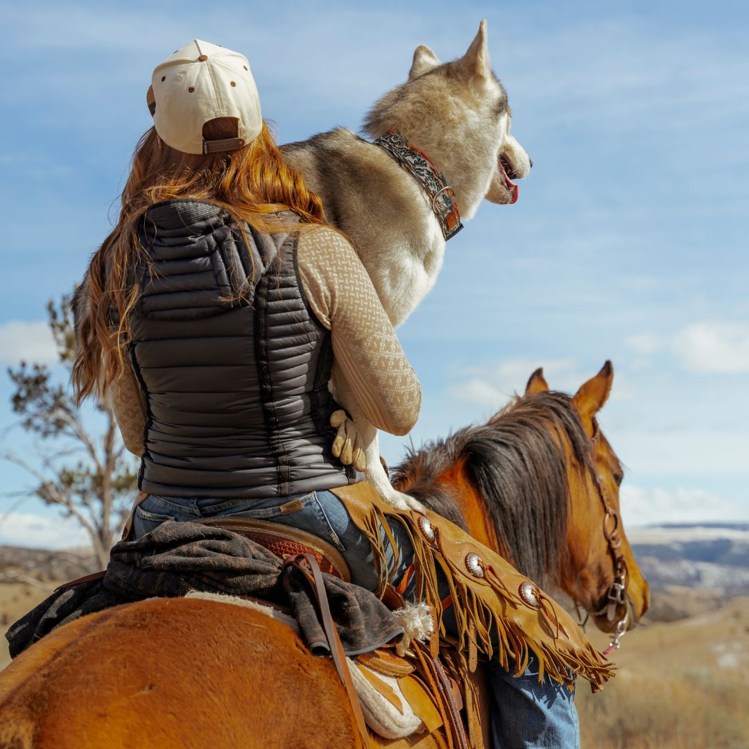 Westward Collar