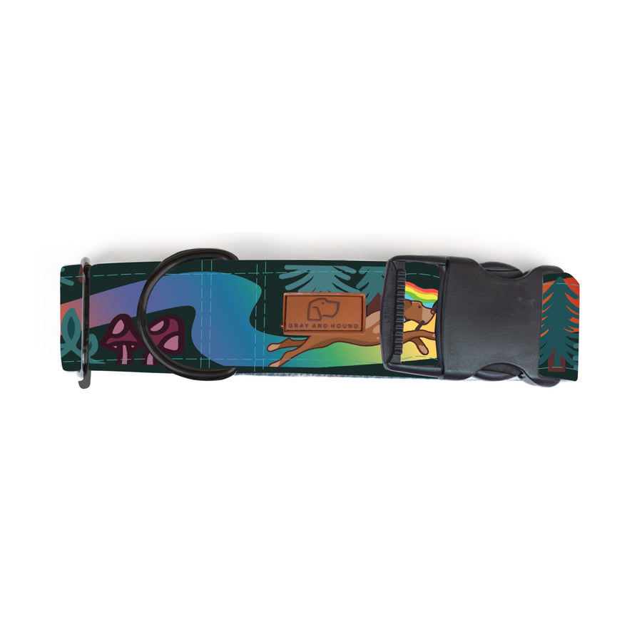 Rainbow Trail Dog Collar [limited quantities]