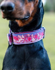 Puppy Love Dog Collar [Limited Edition Artist Series]