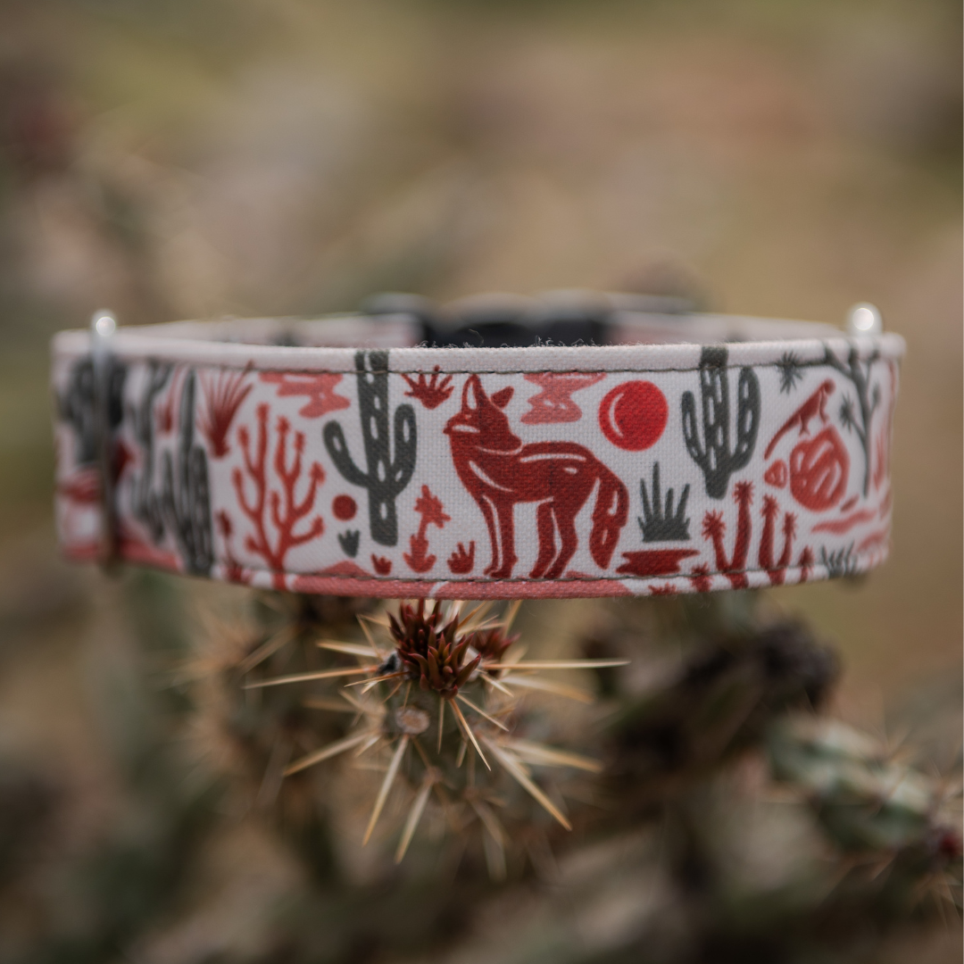Desert Coyote Collar