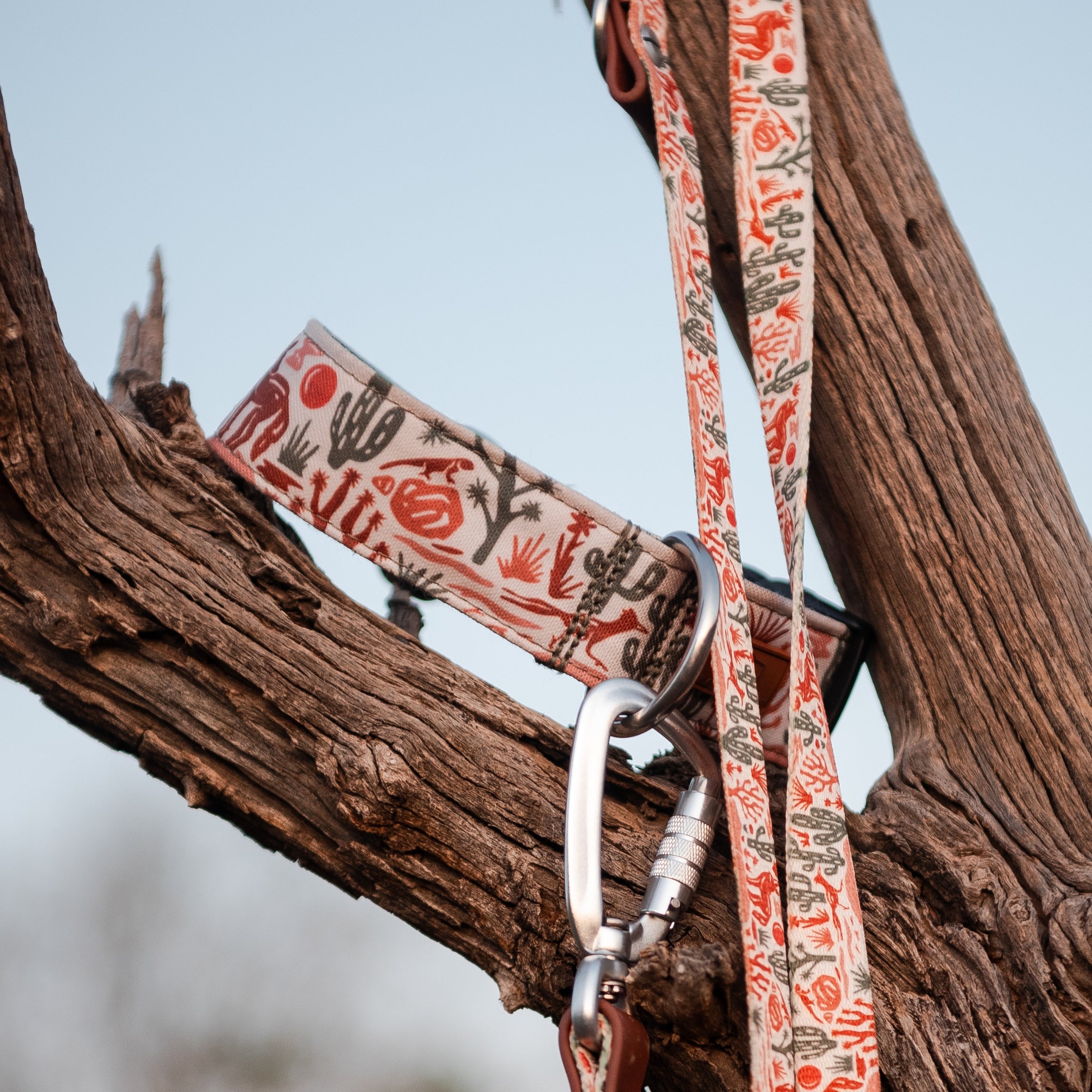 Desert Coyote Collar