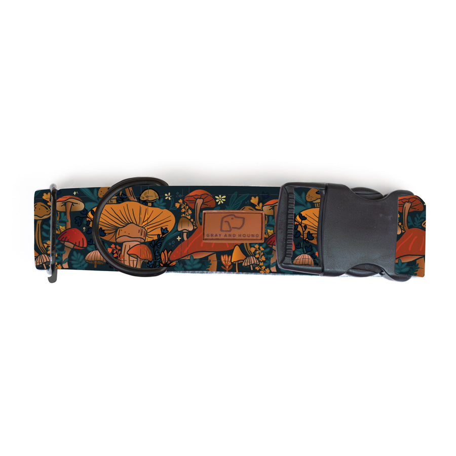 Midnight Mushrooms Dog Collar [ready to ship]