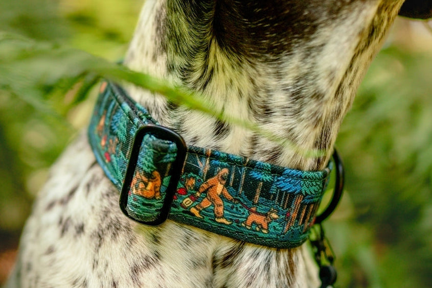 Sasquatch Shadows Collar