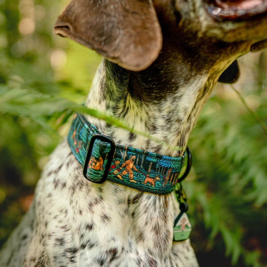 Sasquatch Shadows Dog Collar | Limited Artist Series