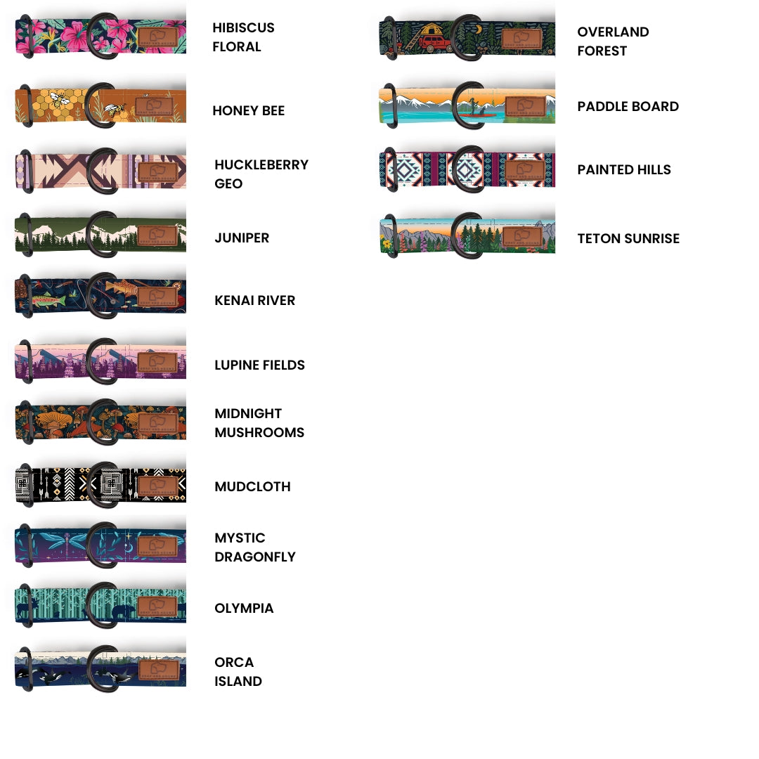 Metal Cobra Buckle Dog Collar Three Pack (choose your designs)