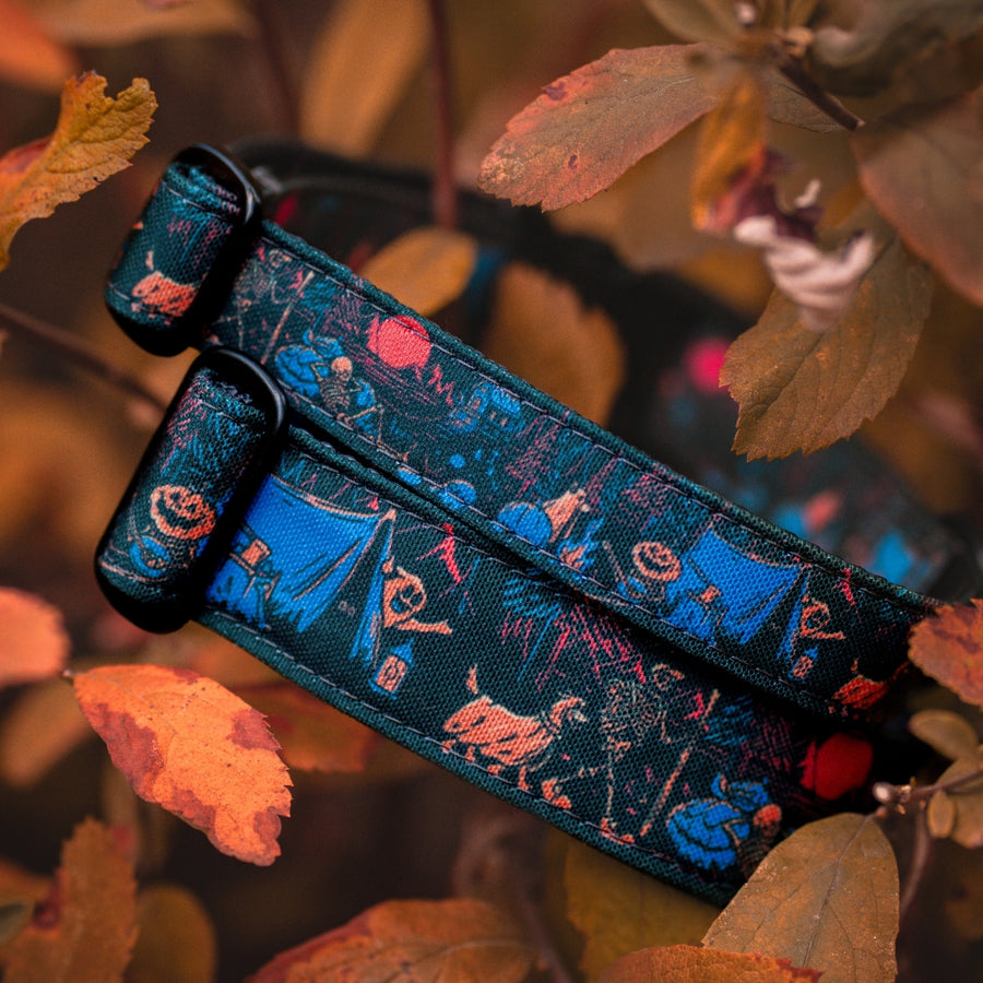 Camp Hollow Hybrid Martingale Dog Collar | Limited Artist Series